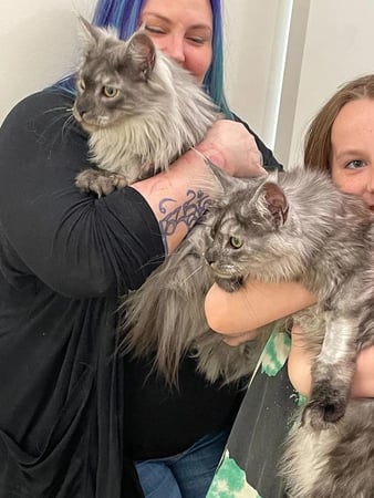 Images Petfolk Veterinary & Urgent Care - Peachtree Corners