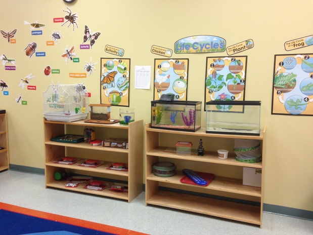 Images Walnut Montessori-Preschool Academy