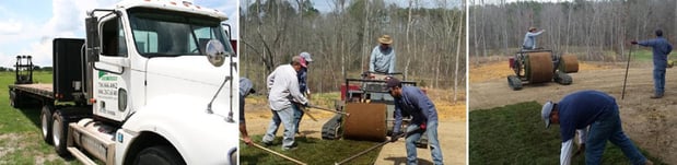 Images Sims Sod Farm