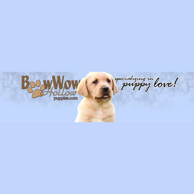 Bowwow Hollow Puppies