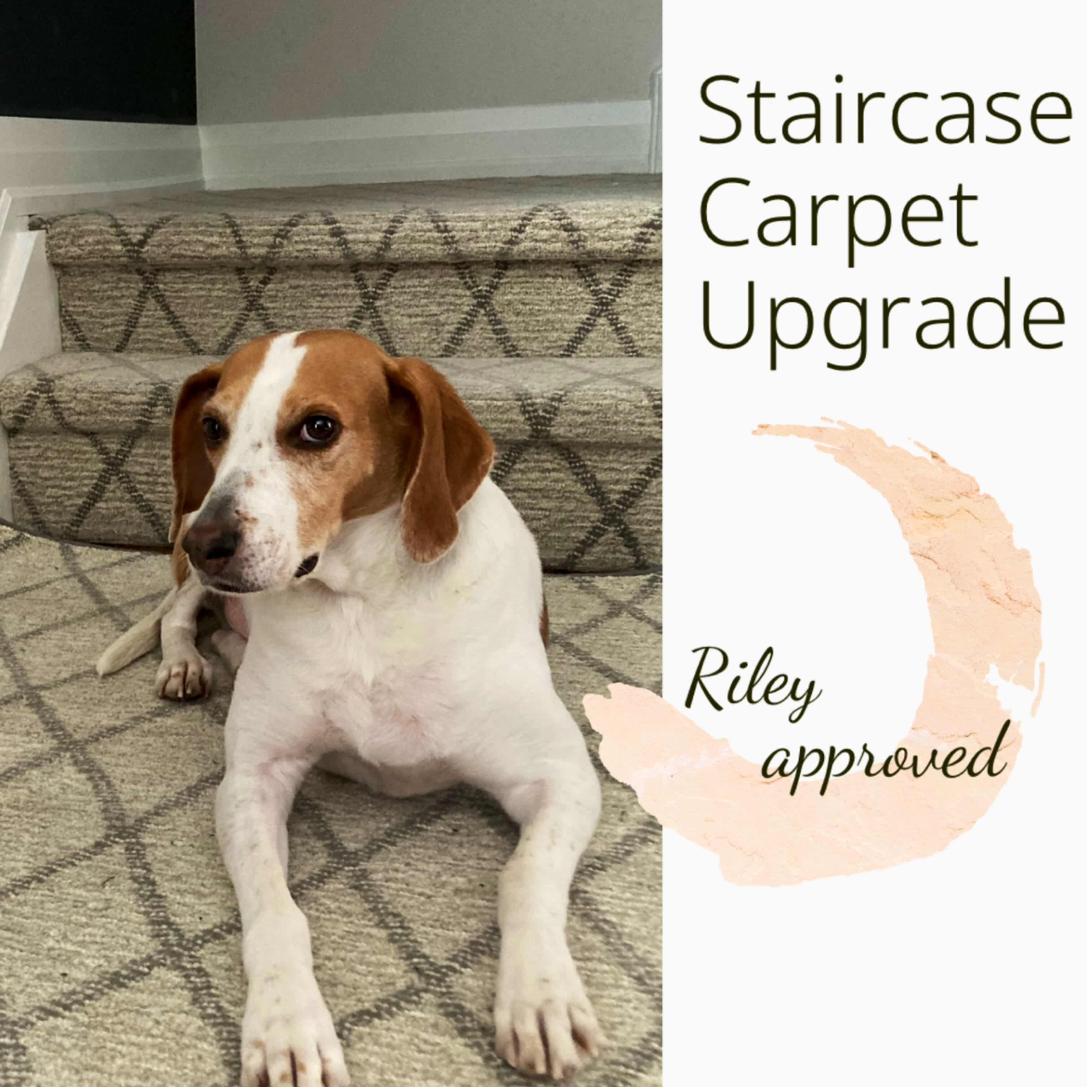 Images Maple Drapery & Carpet Ltd.