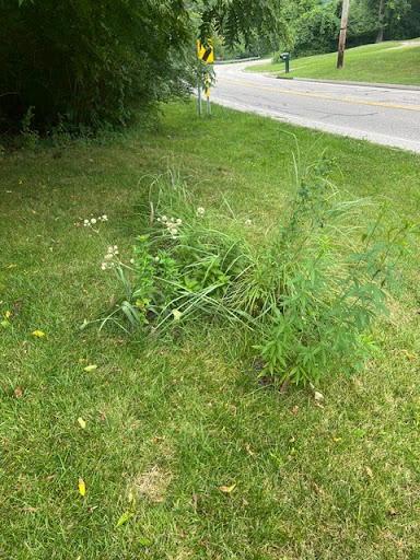 Images Klump Property Maintenance