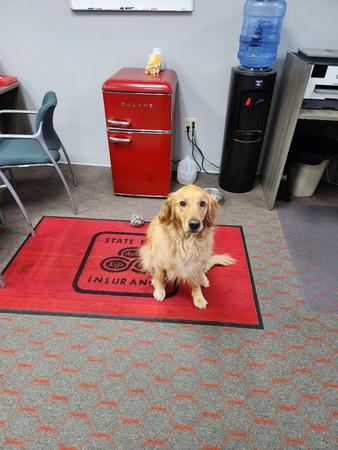 Images Kit Swenby - State Farm Insurance Agent