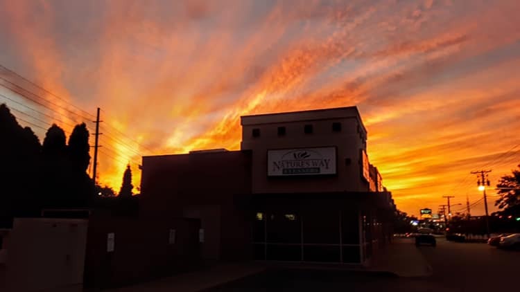 Images Nature's Way Cleaners