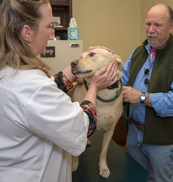 Images Oak Forest Veterinary Hospital