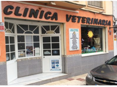 Images Clínica Veterinaria Alhaurín De La Torre