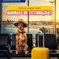 Images Brasil Travel