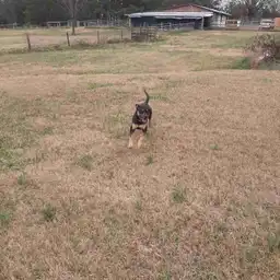 Sniffspot Yolistone Image