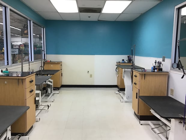 Images Petco Grooming