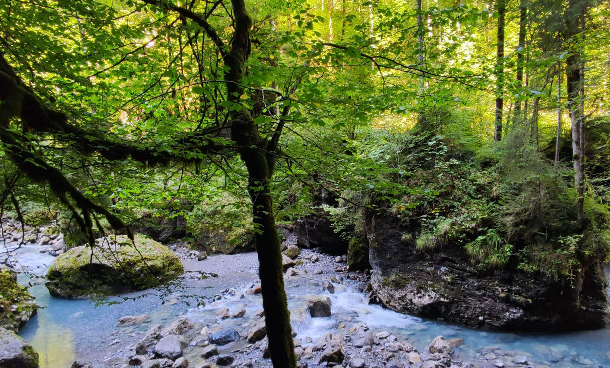 Bild 1 von Theresia-Cranio-Kinesiologie