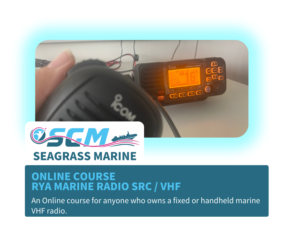Images Seagrass Marine