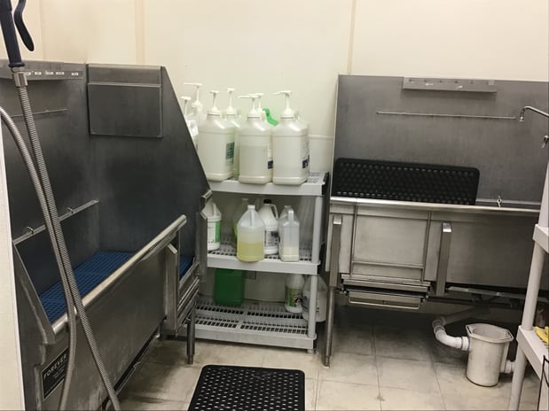 Images Petco Grooming