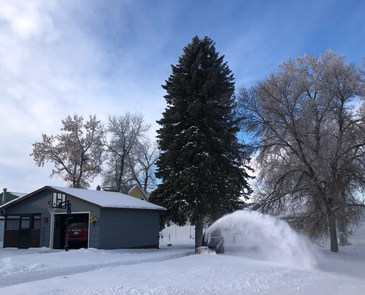 Jake's Tree Service Image