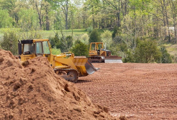 Images Lake Area Tree Removal & Services
