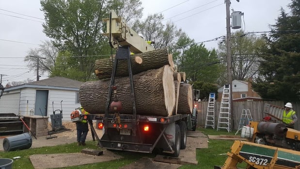 Images Huber Tree Expert