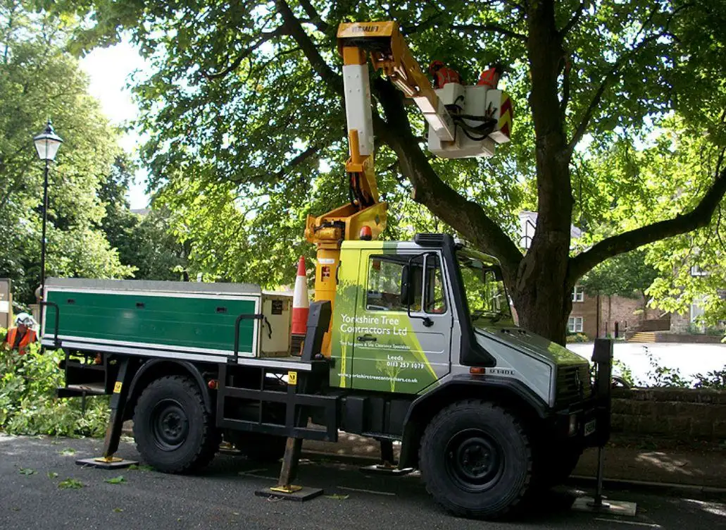 Images Yorkshire Tree Contractors