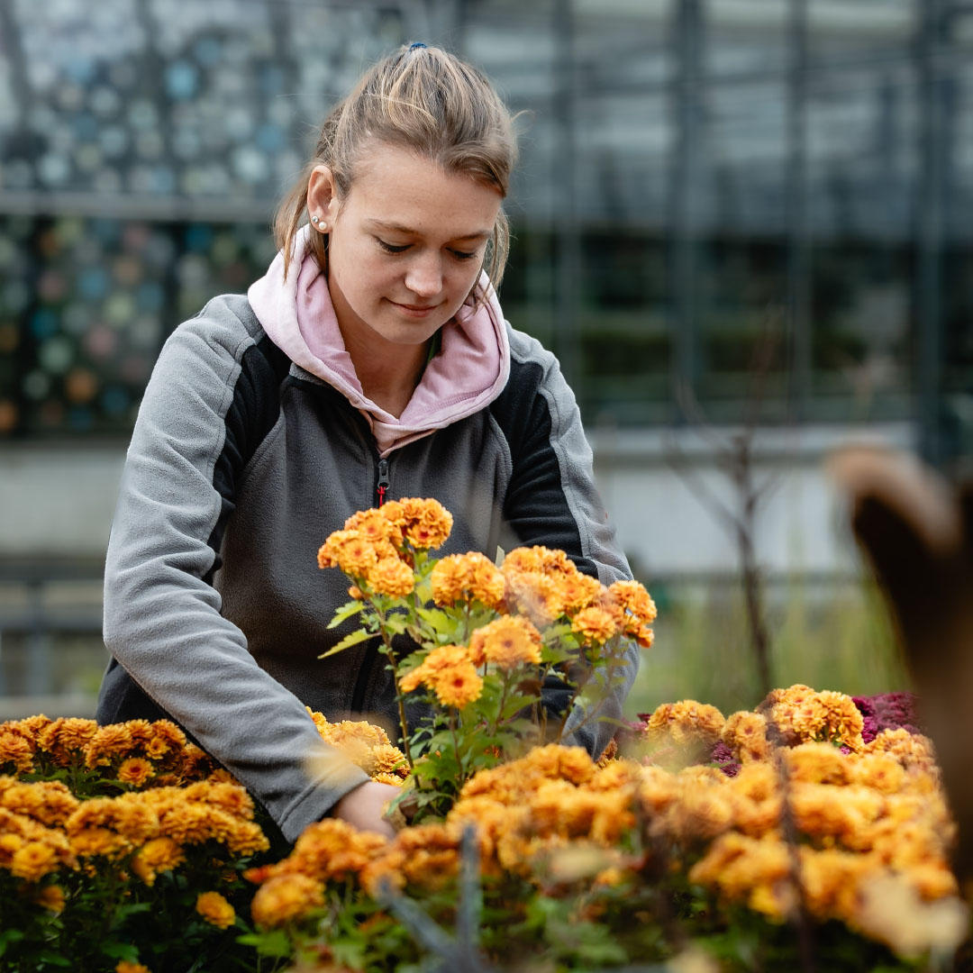 Andi Keller Fotografie + Film, Langgasse 136 in St. Gallen