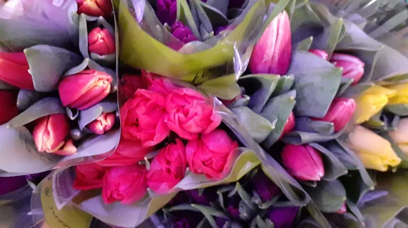 Images Korsnäs Blomster- och Begravningstjänst