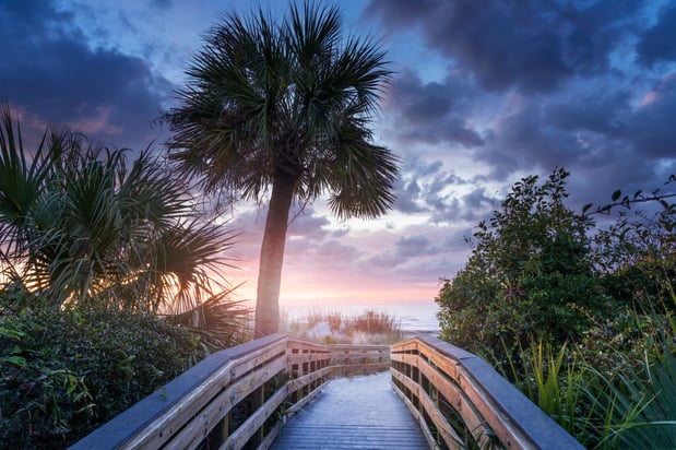 Images Palmetto Dunes Oceanfront Resort