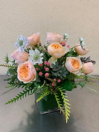 Images Bella Rosa Corporation