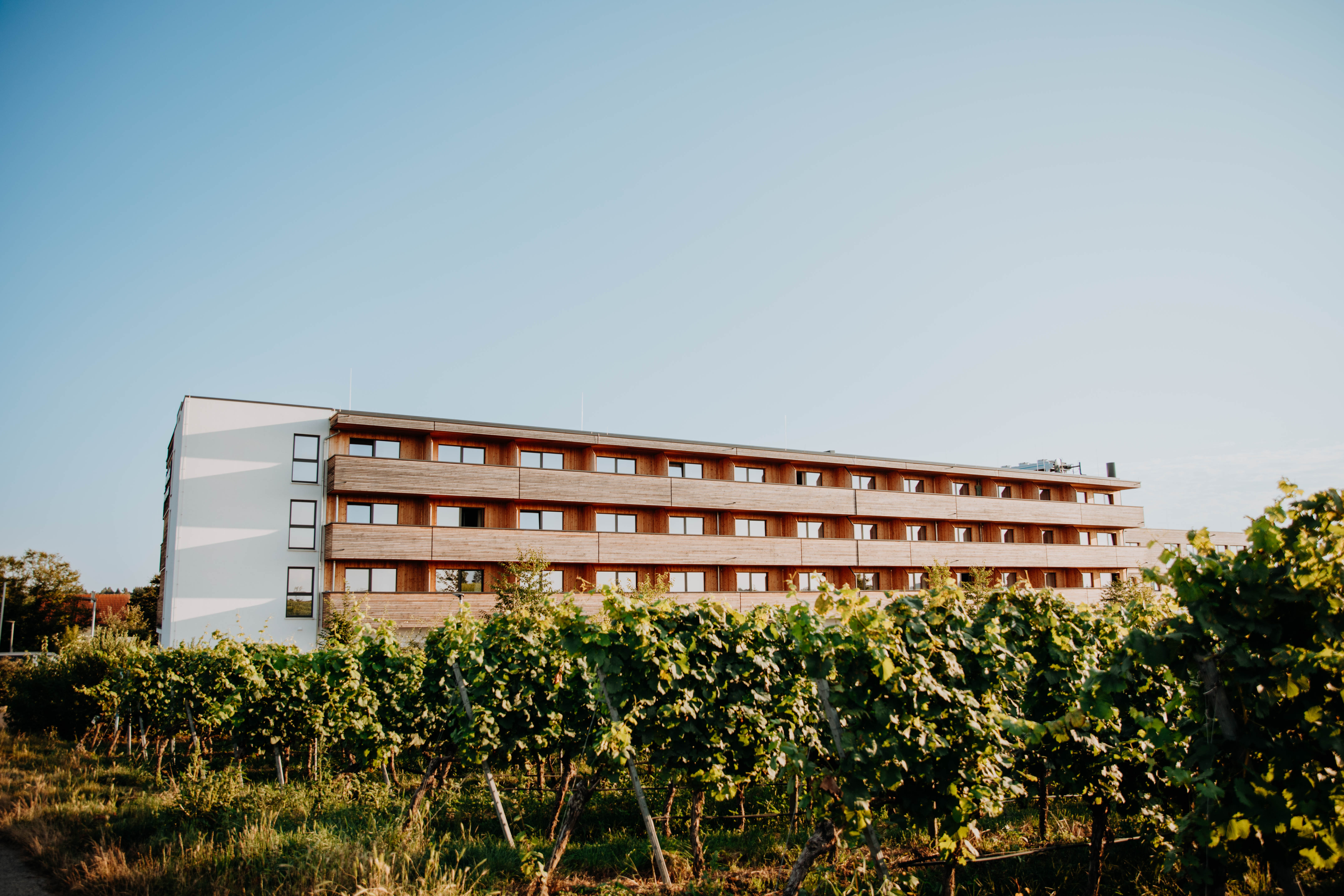 Bild 1 Sonnenhotel Weingut Römmert in Volkach