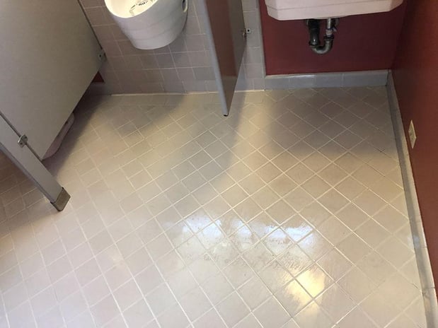 Images Zest Carpet Cleaning