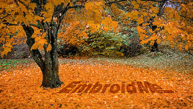 Images Fully Promoted Morristown, NJ