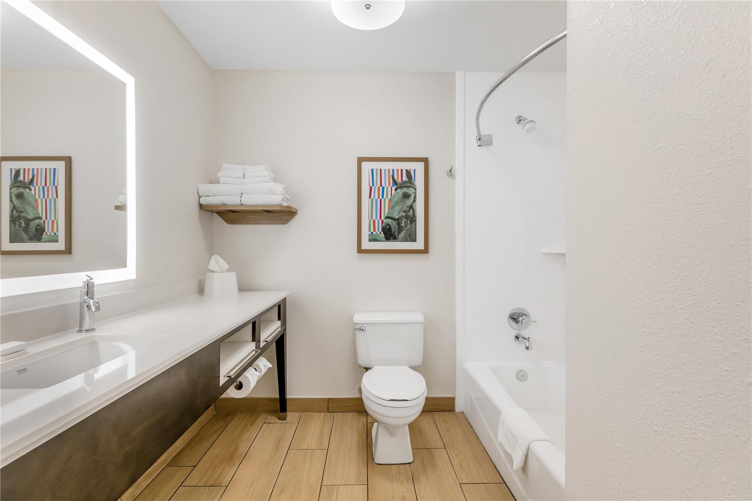 Guest room bath 