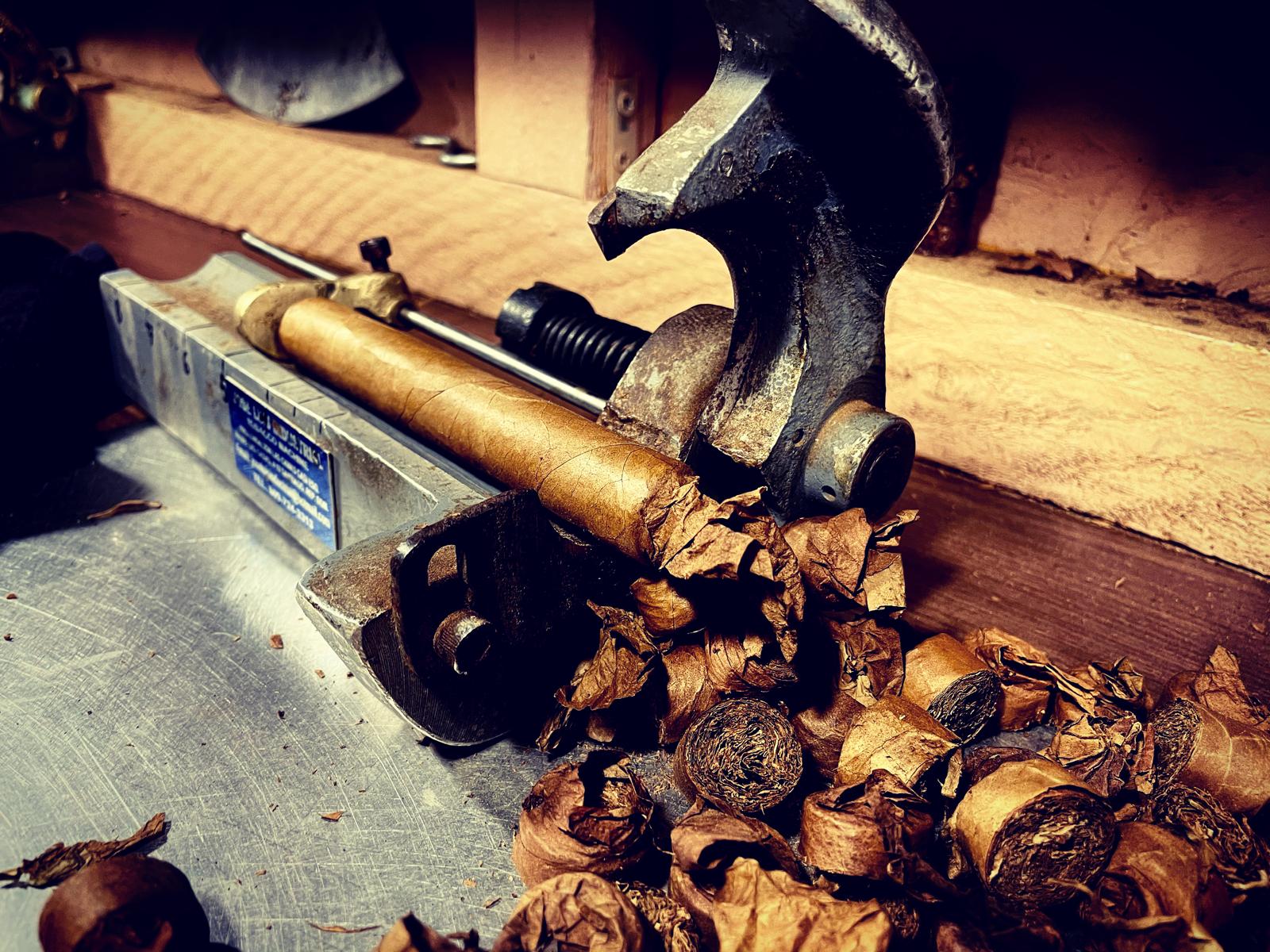 Bilder Gina Reyes Cigars