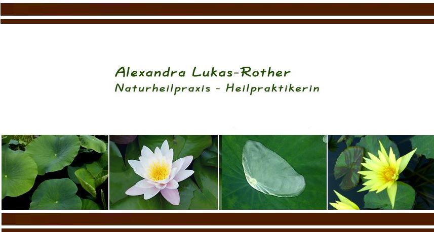 Heilpraktikerin Alexandra Lukas-Rother, Naturheilpraxis, Hintere Gasse 23 in Herzogenaurach