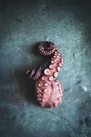 JUNI Fotografen I Foodfotografie I Stilllifefotografie I Portrait I Berlin