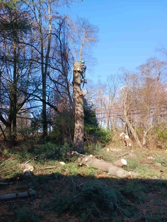 Images Ernesto Property Maintenance LLC