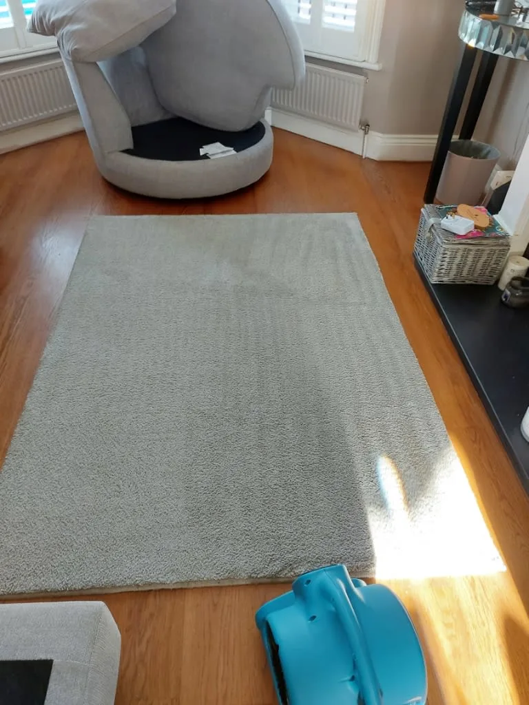 Images Titanium Cleaning