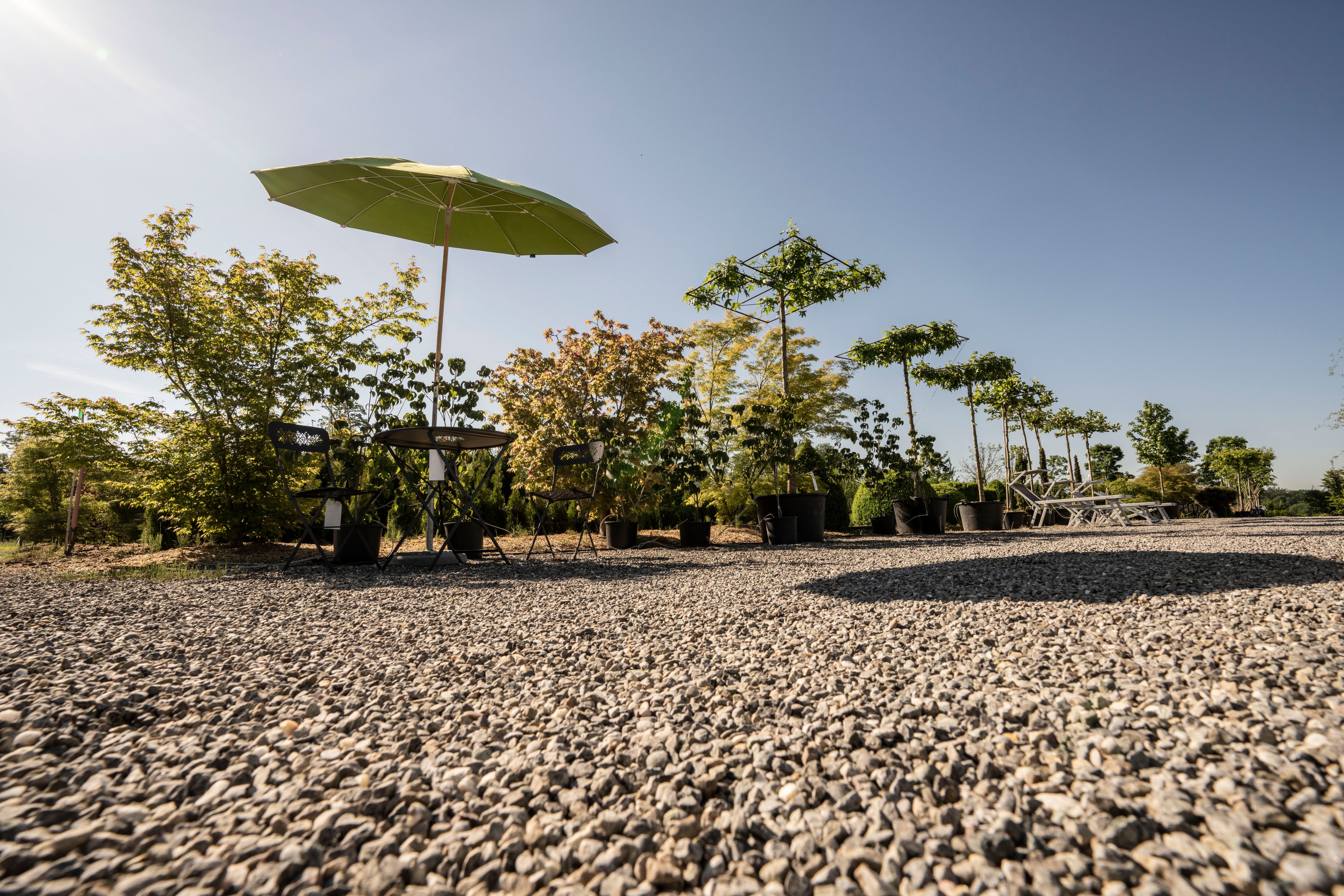 Bilder wüthrich pflanzen ag