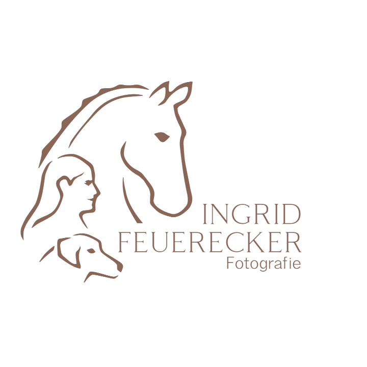 Pferdefotografie Ingrid Feuerecker in Weichs Kreis Dachau - Logo