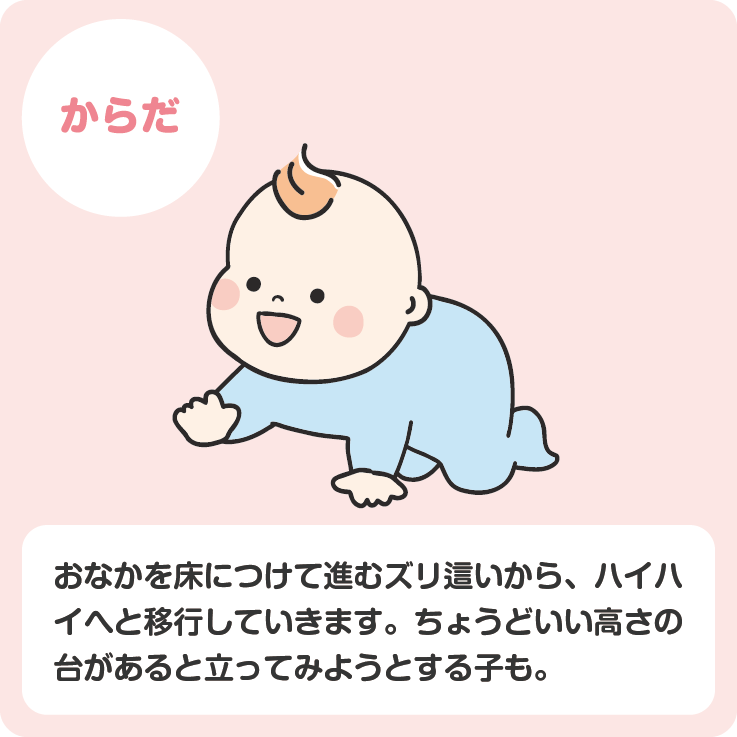 月齢モーダル用_おすわり2