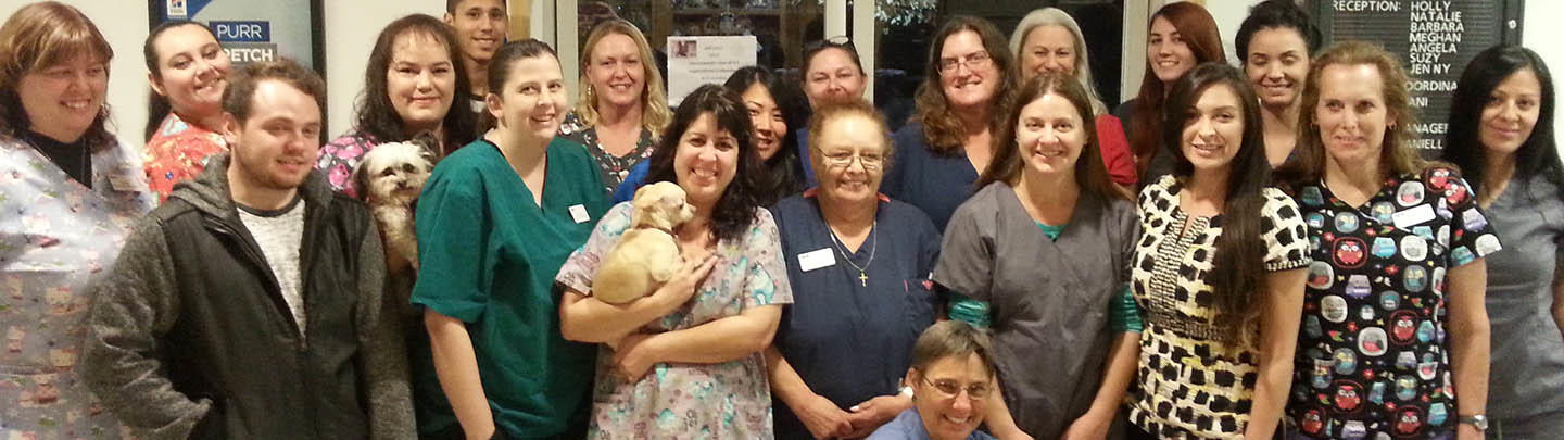 The experienced and caring team of VCA Sunset Animal Medical Center. VCA Sunset Animal Medical Center Fair Oaks (916)967-7768