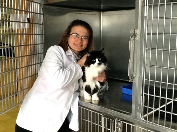 Images Care Animal Clinic