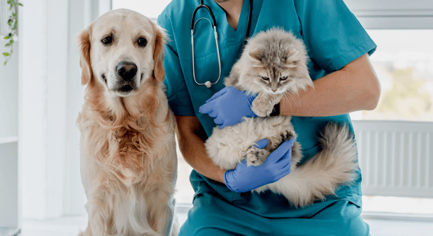 Images Audubon Animal Medical Center