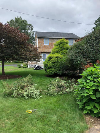 Images Greenleaf’s Garden Design