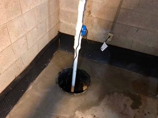 Images Windy City Rooter Plumbing, Sewer, and Drainage