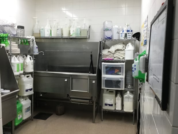 Images Petco Grooming