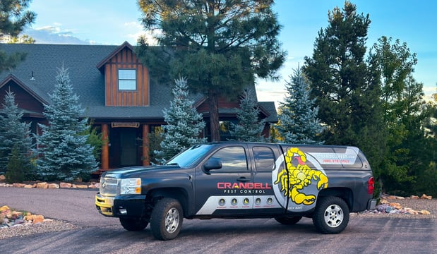 Images Crandell Pest Control