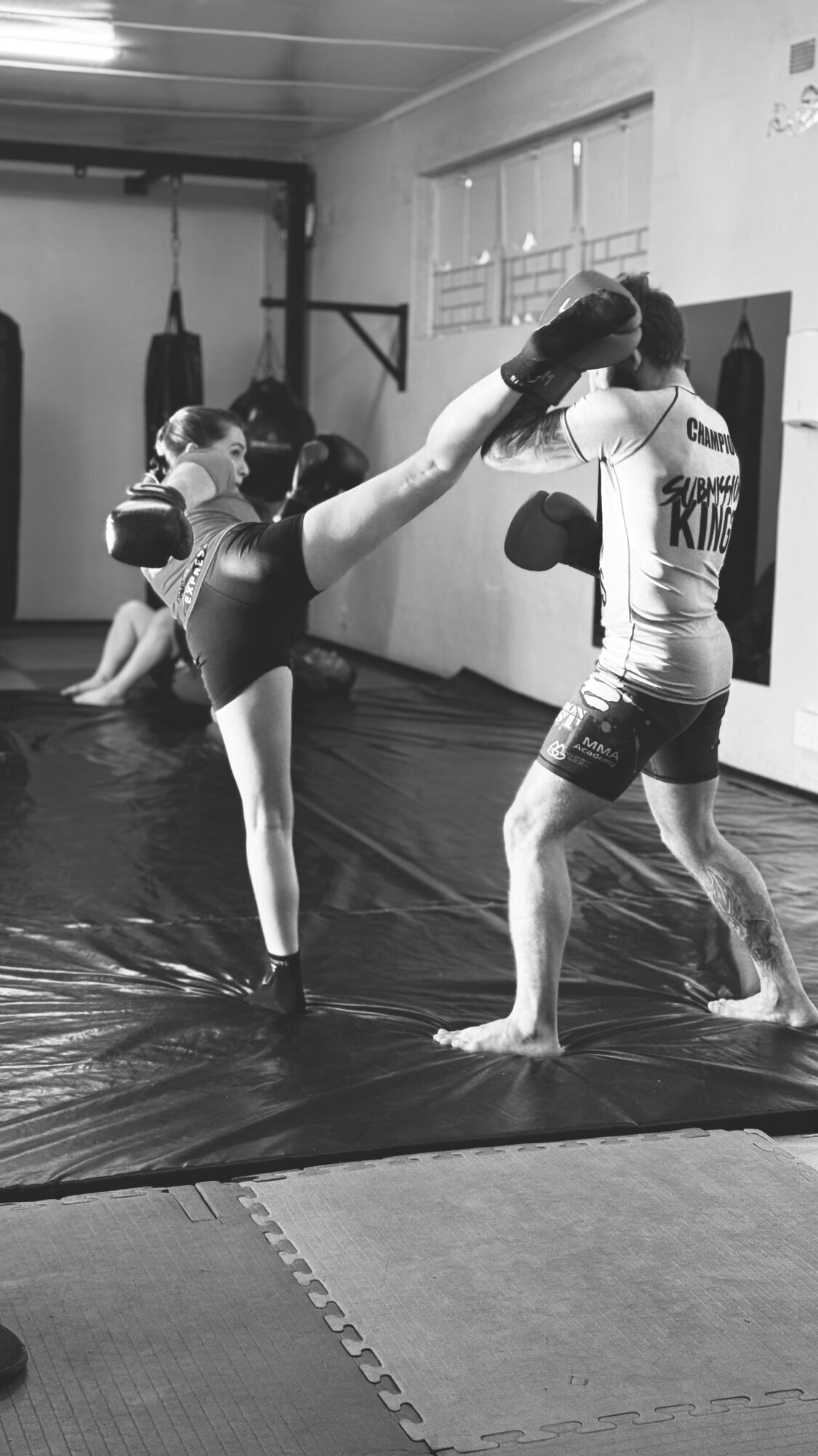 Images Iron fist mma