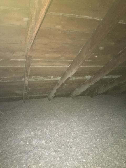 This attic needed our help after a thick layer of white microbial growth was found.