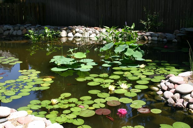 Images Hall Brothers Landscaping & Construction LLC