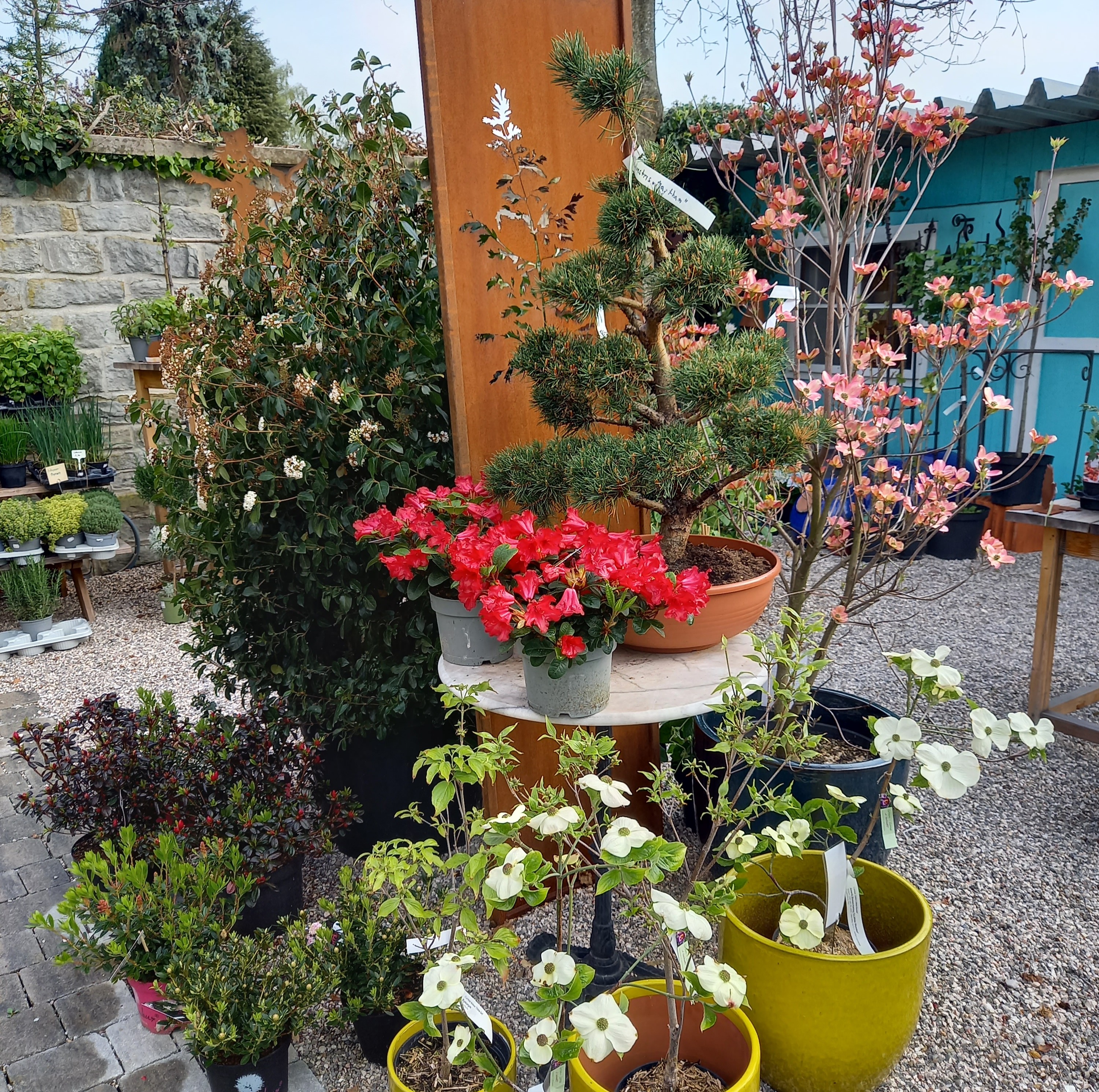 Bild 26 von Grün-Zone