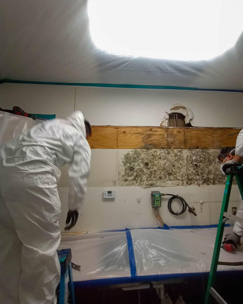 Because of the mold growth behind these kitchen cabinets, our technicians are wearing PPE suits.
