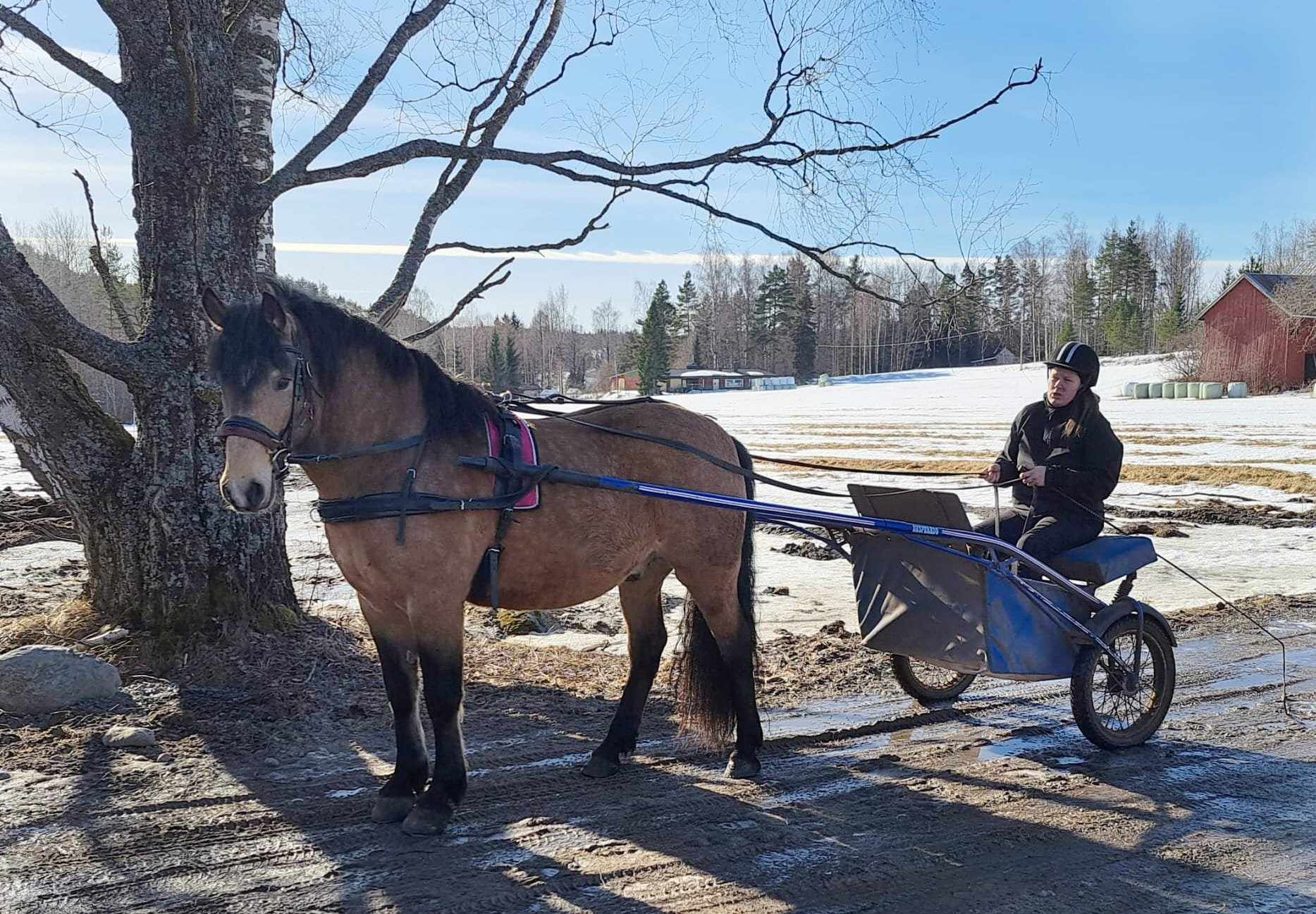 Images Relanderin Ponitalli