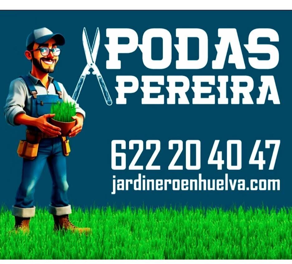 Images Podas y talas en altura en Huelva, grandes Årboles, Eucaliptus, Pinos, Palmeras